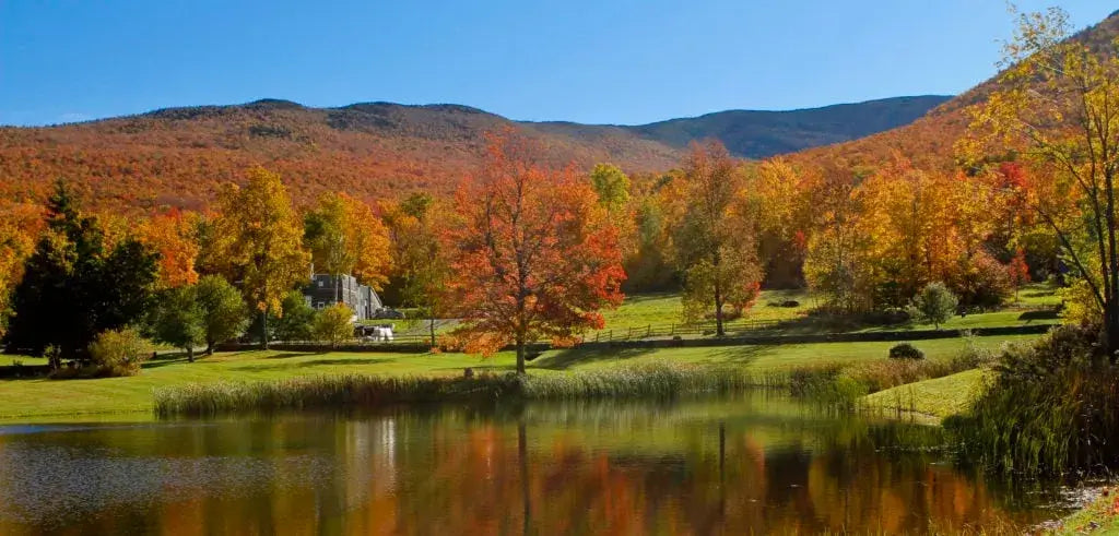 Maple Syrup 101: Everything You Need to Know