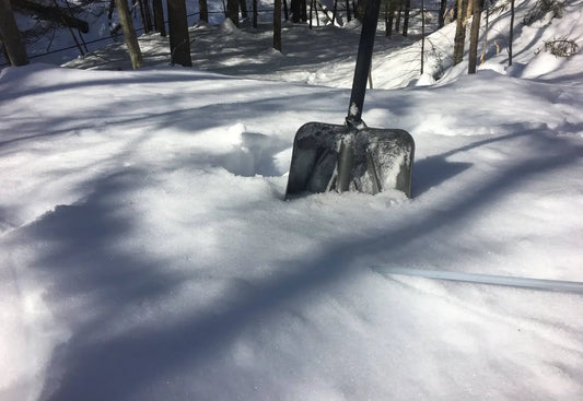 Tales from the Sugarbush: How 80,000 Trees Untapped Themselves!
